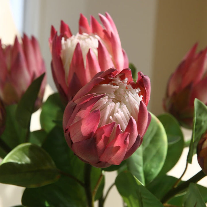 キングプロテア フェイクフラワー 造花 kocol