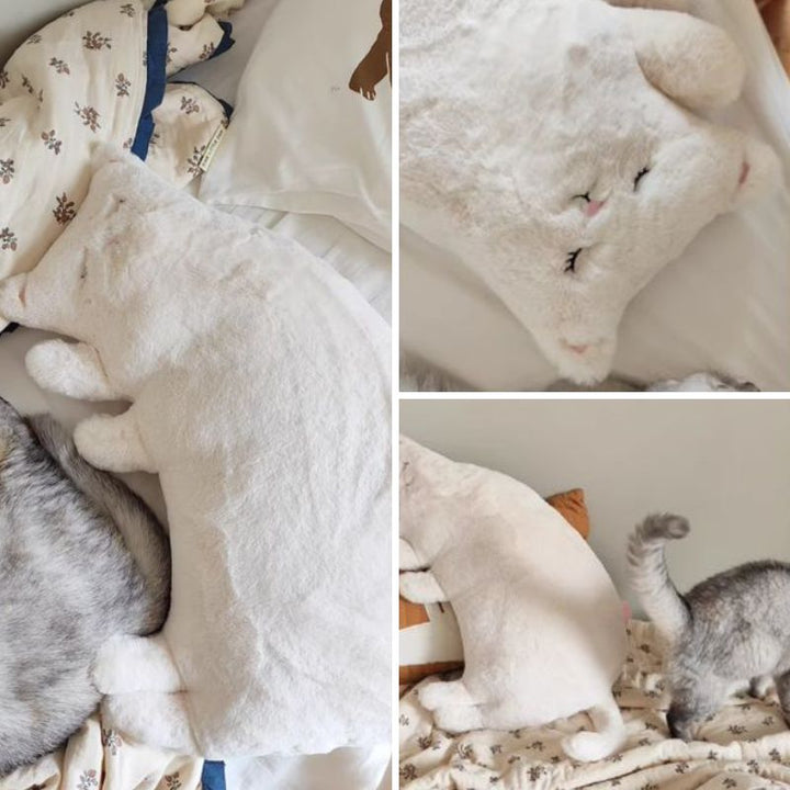 子猫 抱き枕 クッション kocol