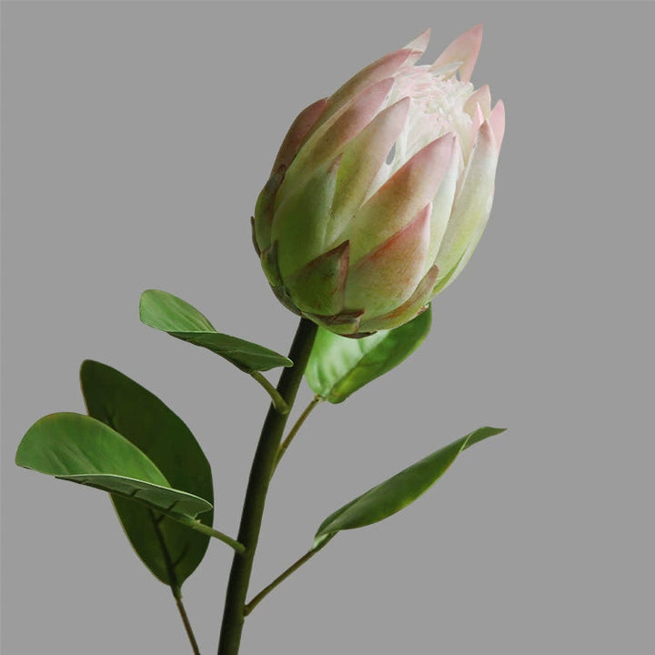 キングプロテア フェイクフラワー 造花 kocol