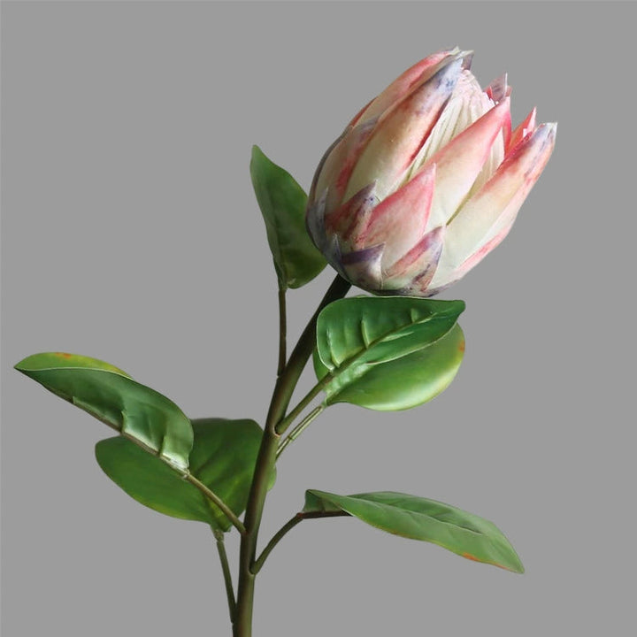 キングプロテア フェイクフラワー 造花 kocol