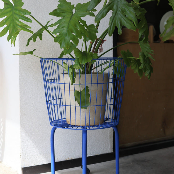 Wire Basket Plant Stand