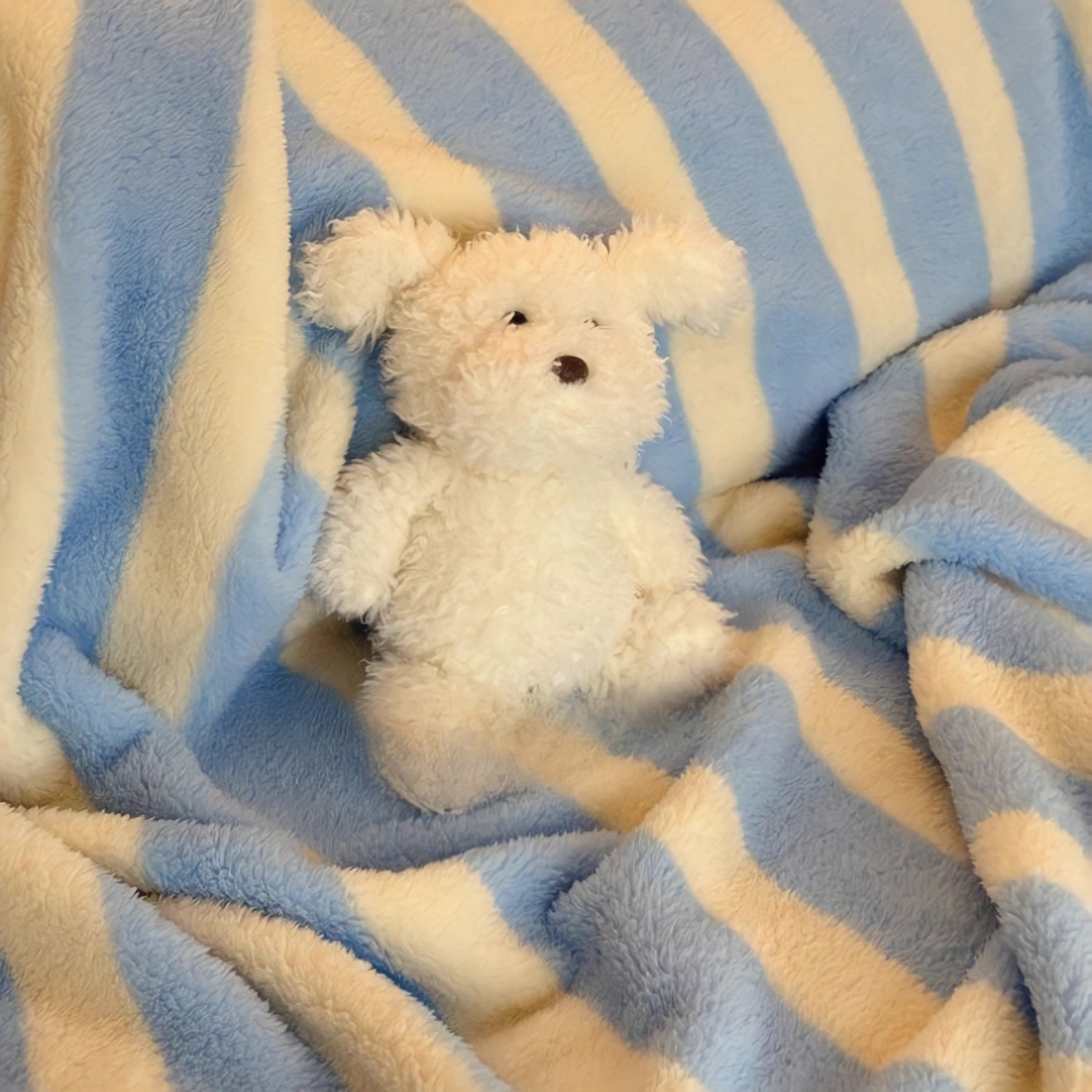 Blue and White Striped Fleece Blanket