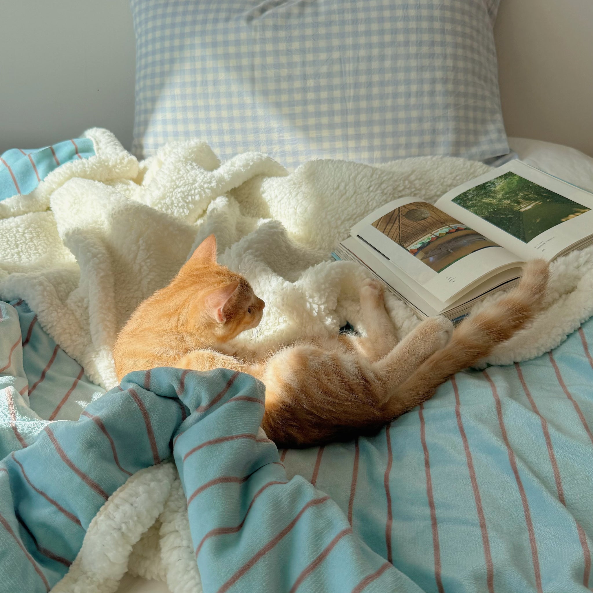 Striped fleece blanket in light blue