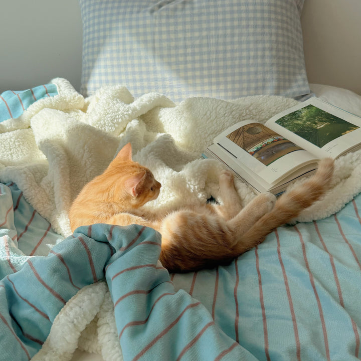 ストライプフリースボアブランケット ライトブルー