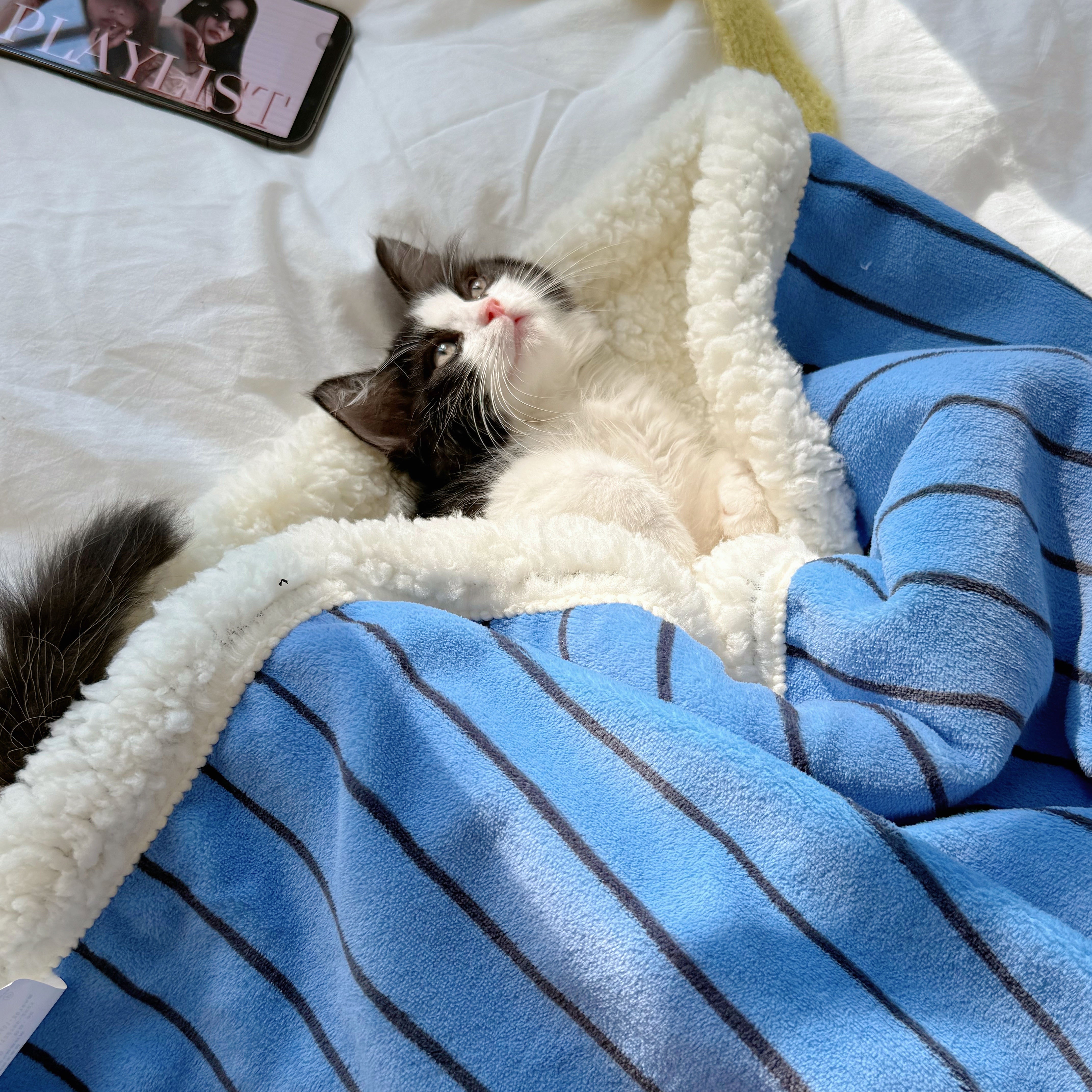 Striped fleece blanket in blue