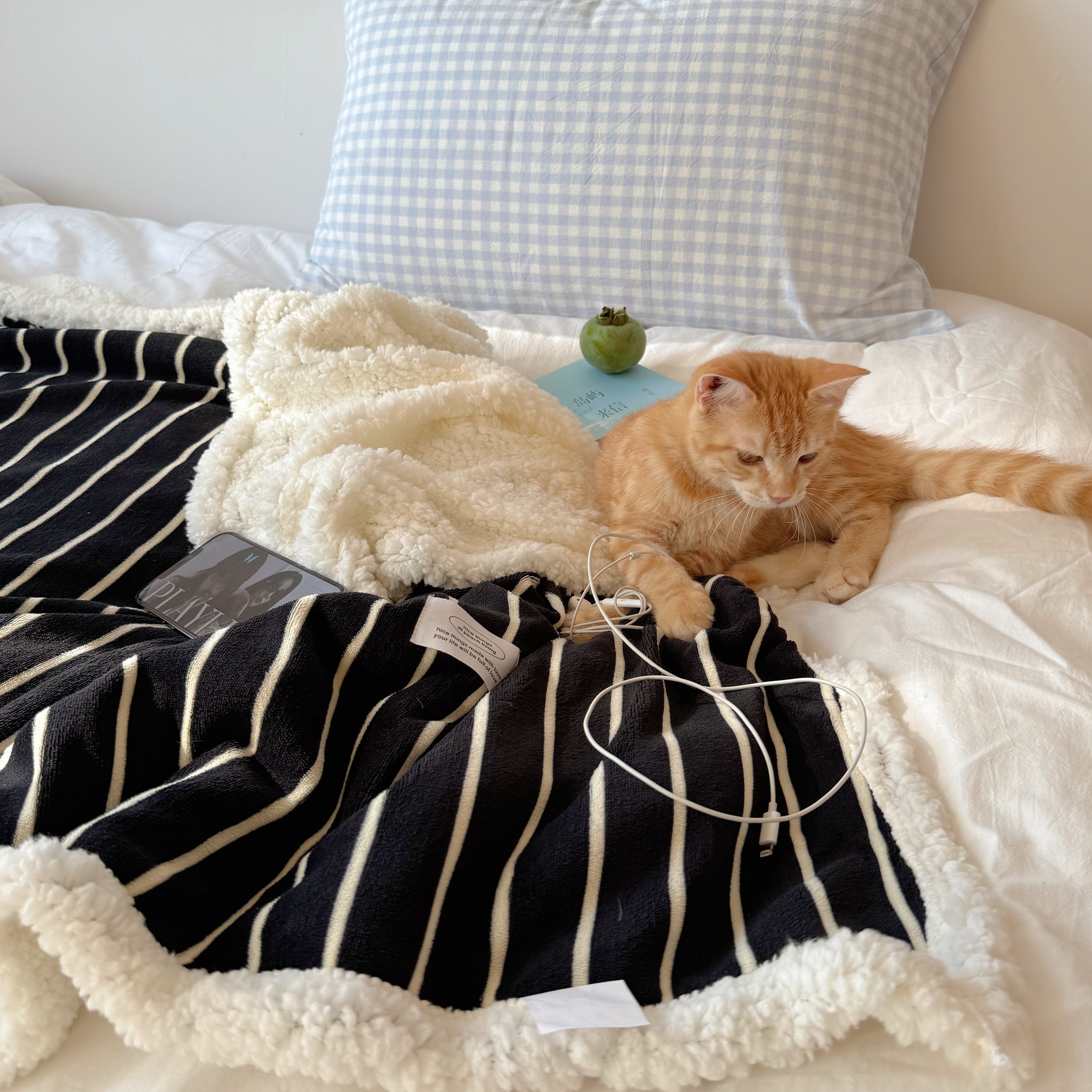 Striped Fleece Boa Blanket in Black