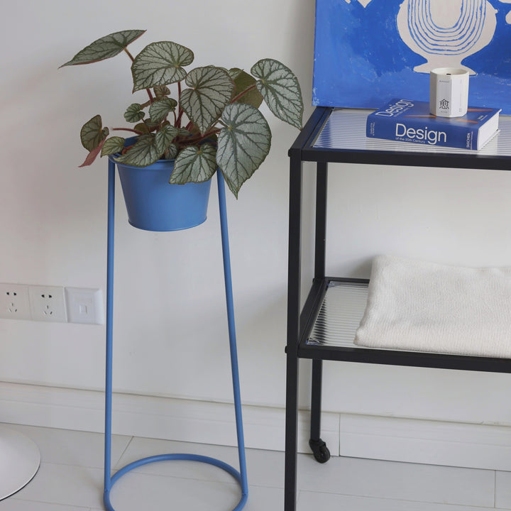 High Plant Stand