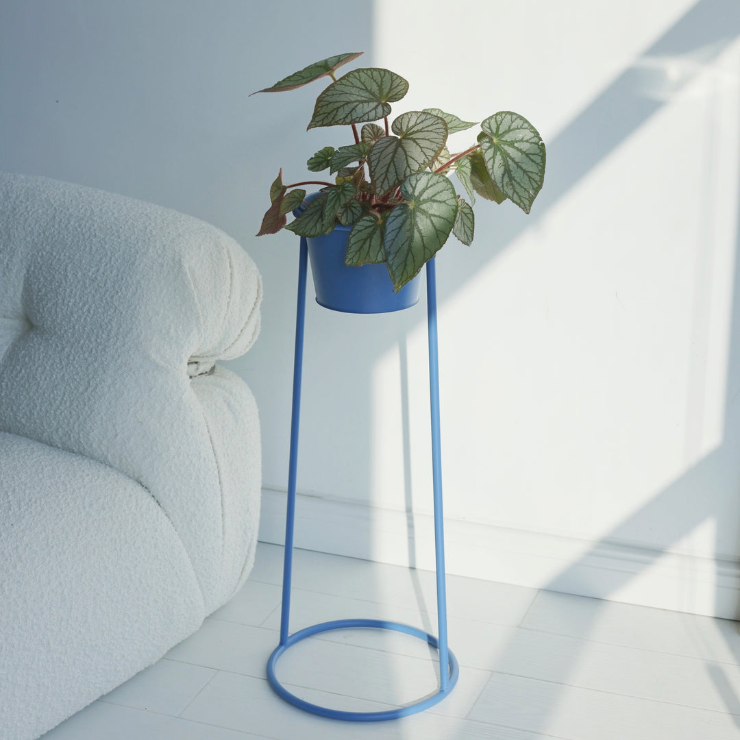 High Plant Stand