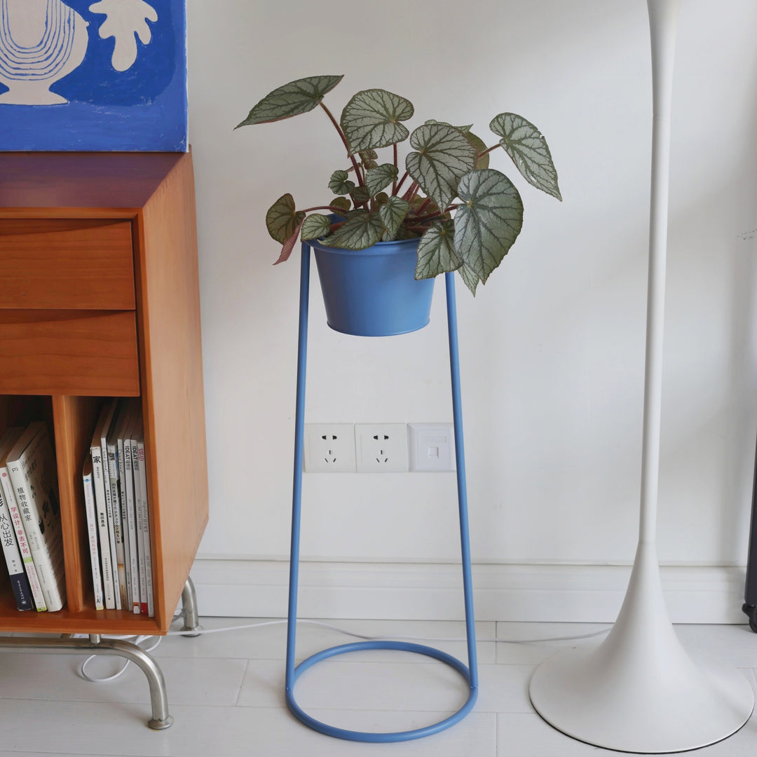High Plant Stand