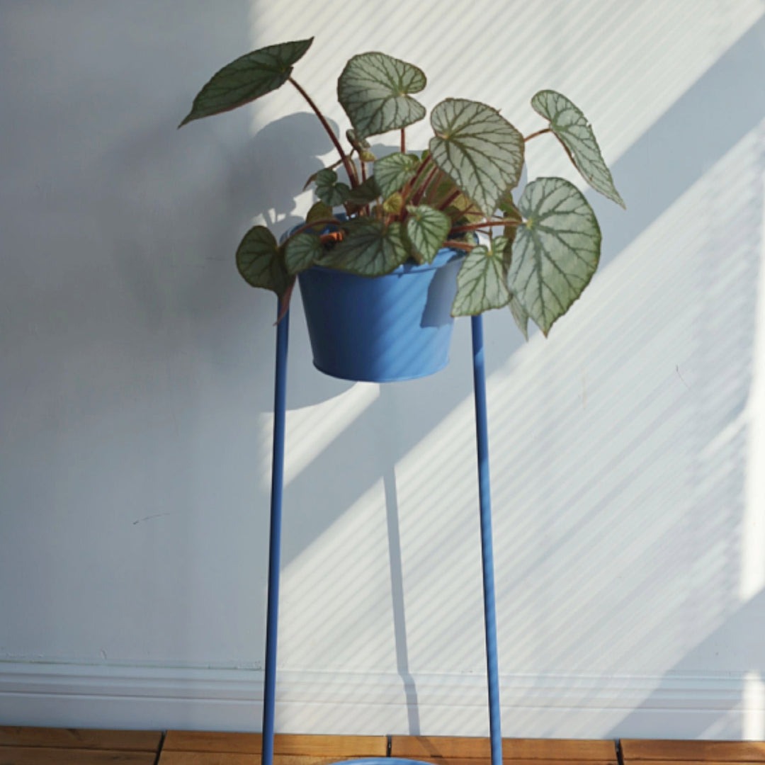 High Plant Stand