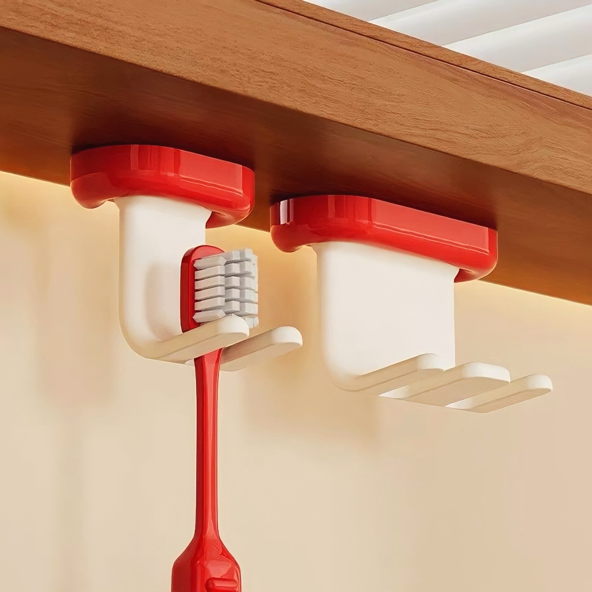 Combination Color Toothbrush Holder