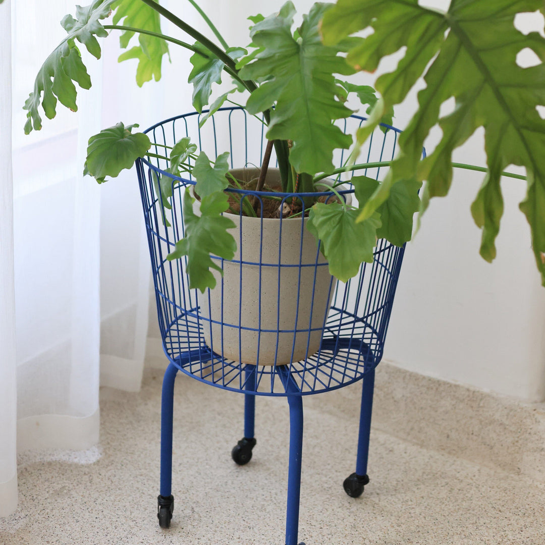 Wire Basket Plant Stand