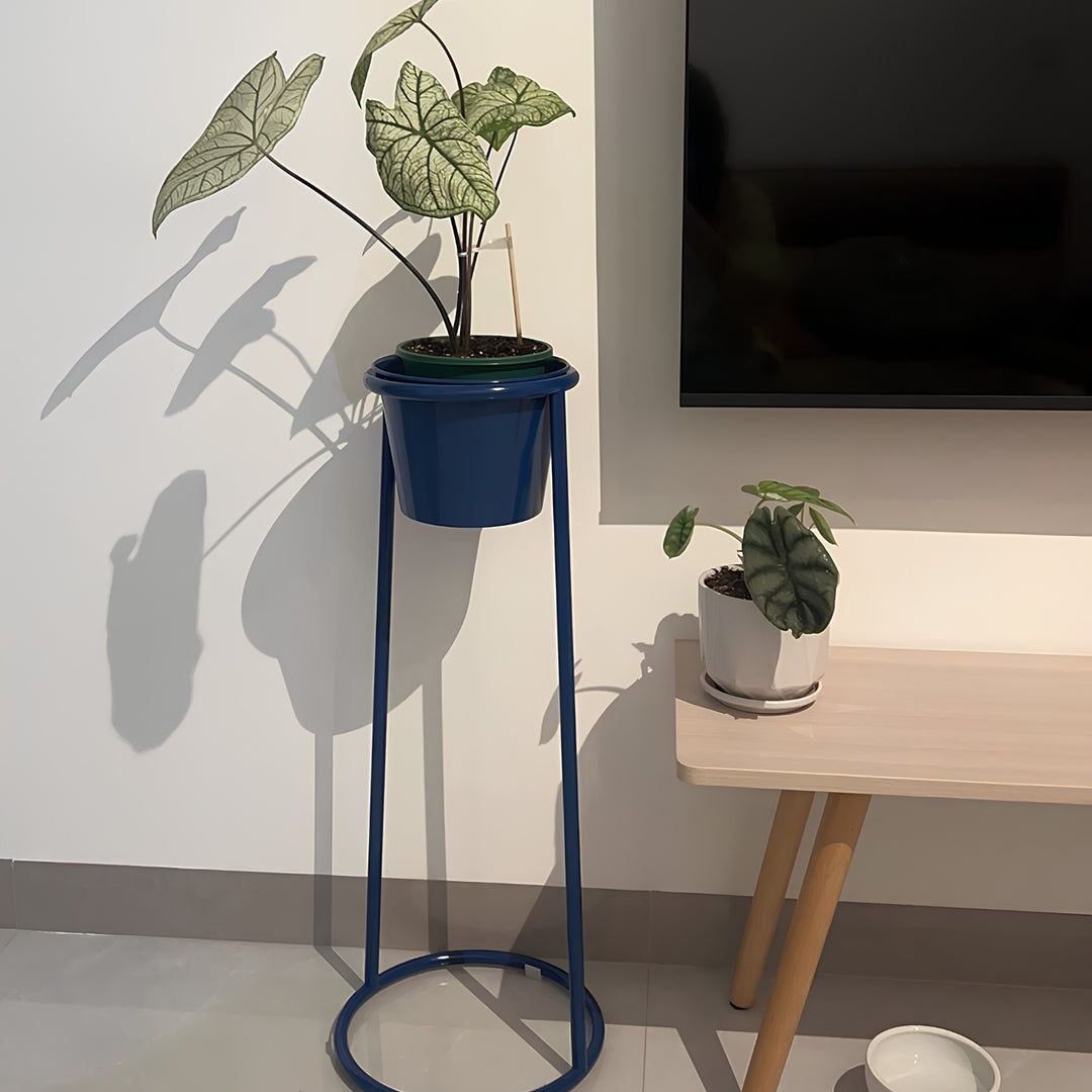 Slim High-Type Plant Stand - Klein Blue