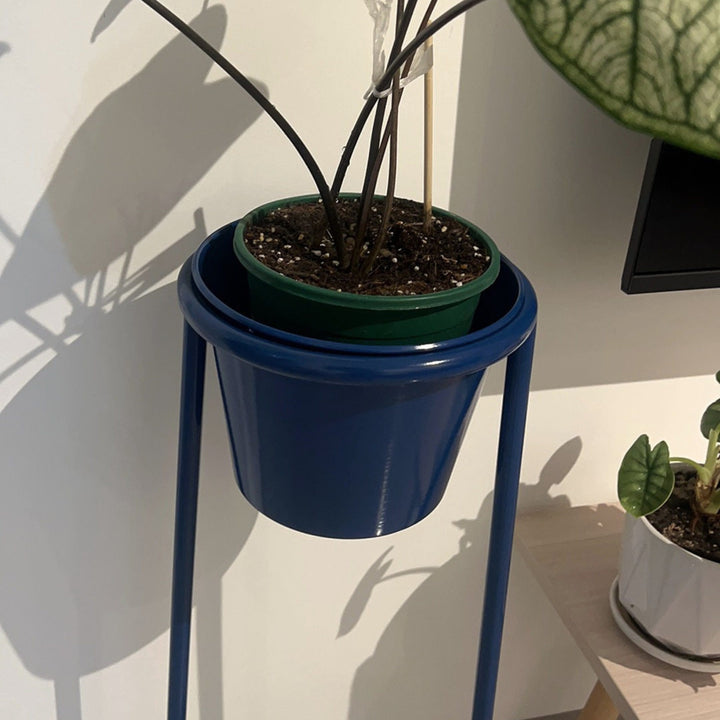 Slim High-Type Plant Stand - Klein Blue