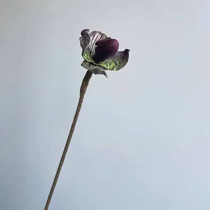 パフィオペディルムフェイクフラワー