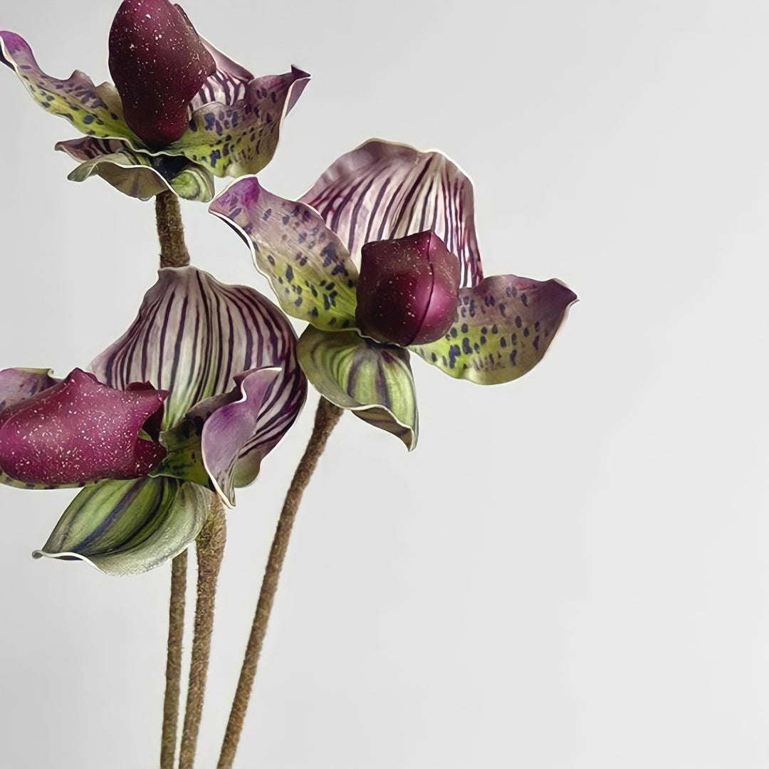 パフィオペディルムフェイクフラワー