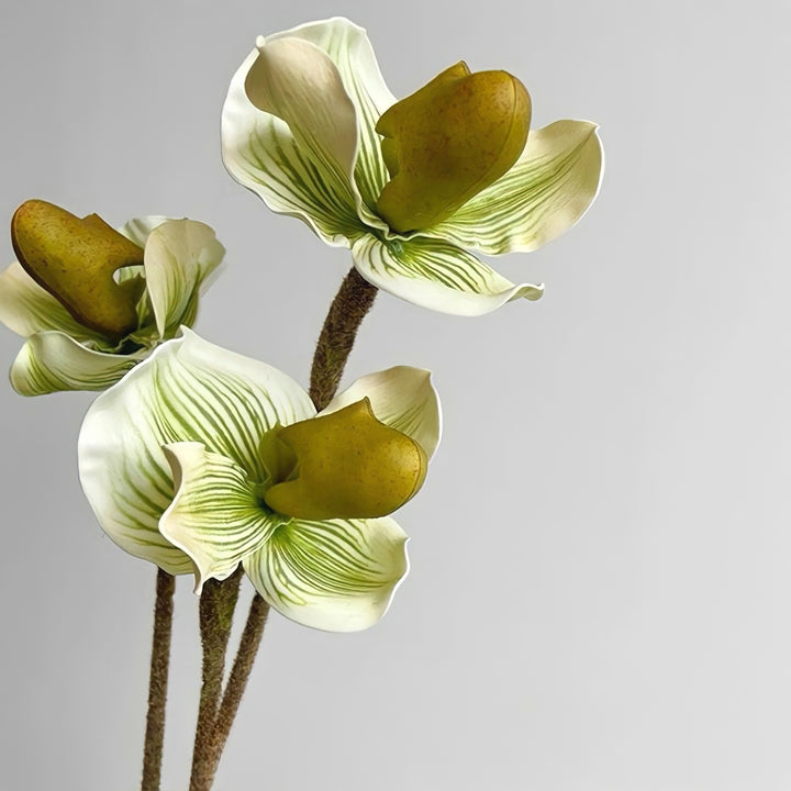 パフィオペディルムフェイクフラワー