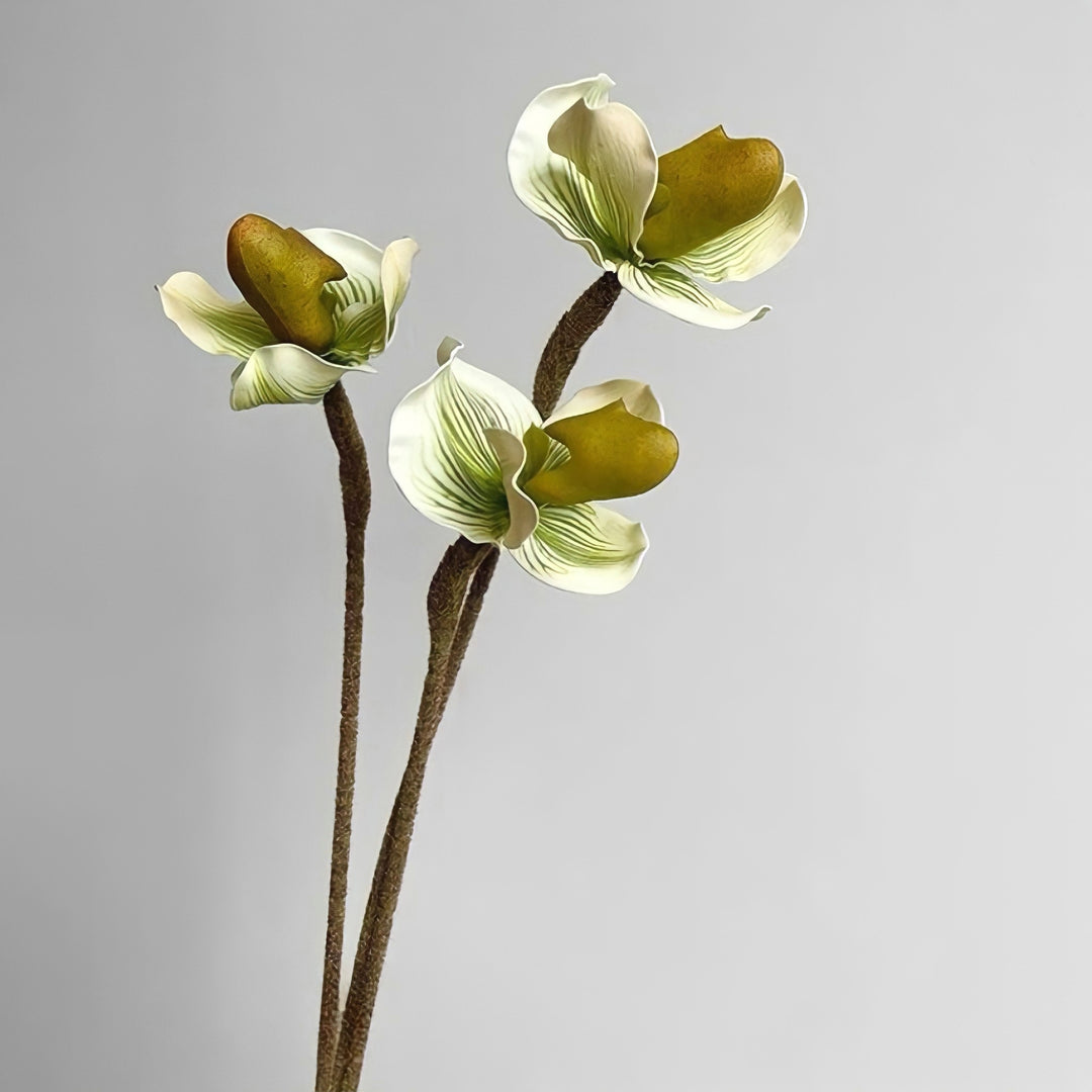 パフィオペディルムフェイクフラワー