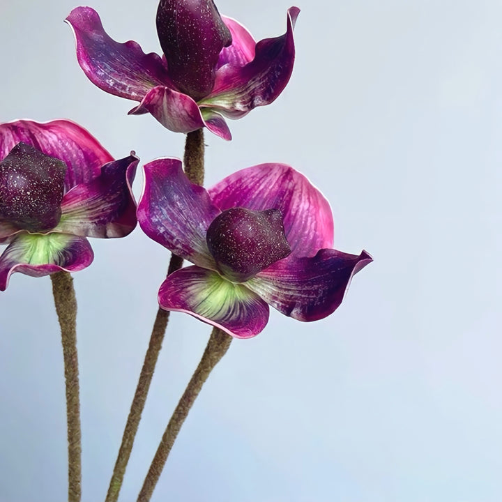 パフィオペディルムフェイクフラワー