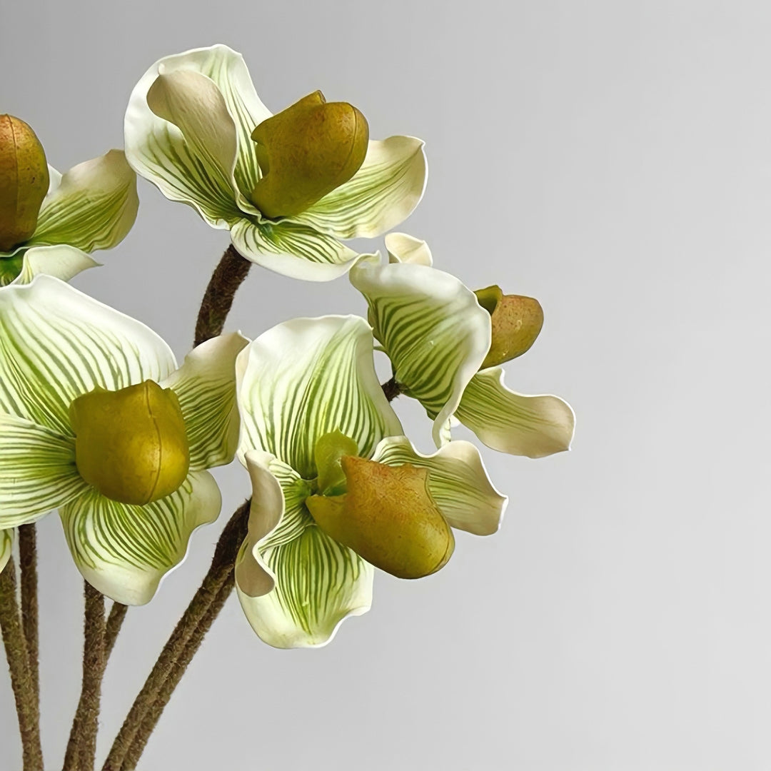 パフィオペディルムフェイクフラワー