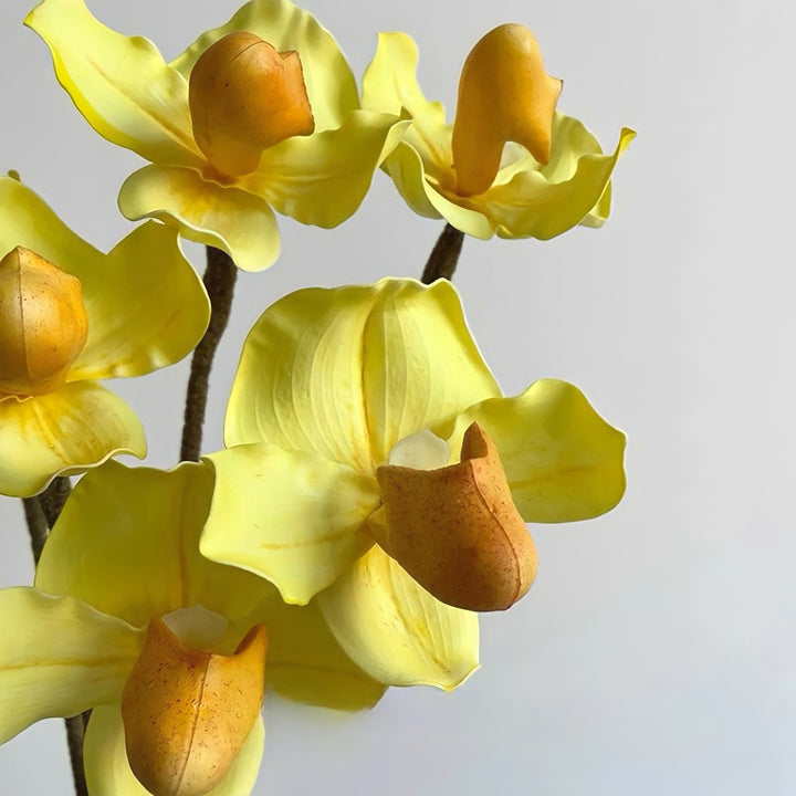 パフィオペディルムフェイクフラワー