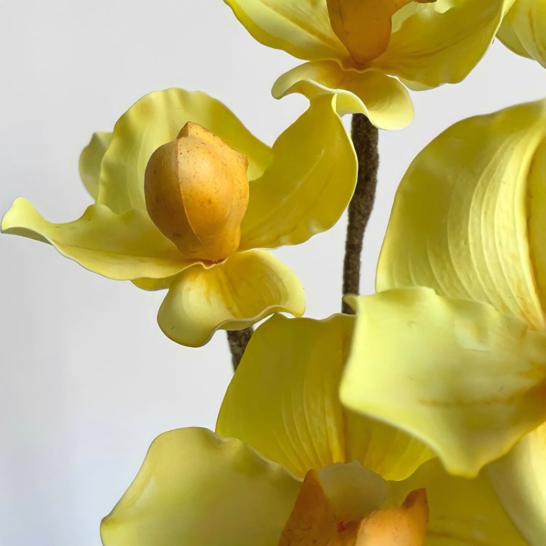 パフィオペディルムフェイクフラワー