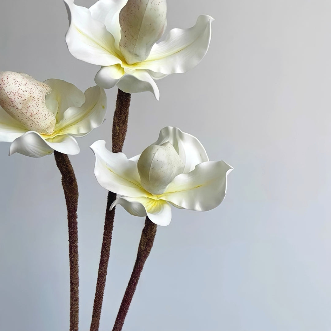 パフィオペディルムフェイクフラワー